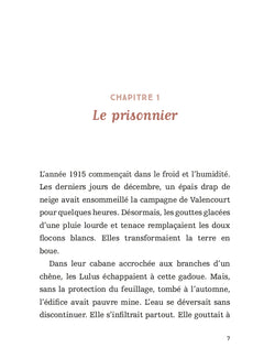 Roman La Guerre des Lulus