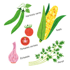 Mes imagiers tout carrés - Les fruits et légumes de mon assiette