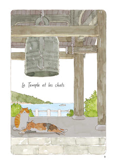 Le vieil homme et son chat