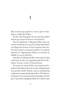 Chère Fubuki Katana