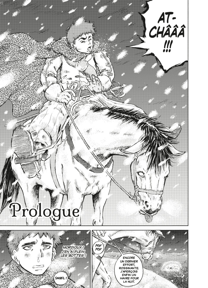Les trois mousquetaires: Le manga-D'Artagnan