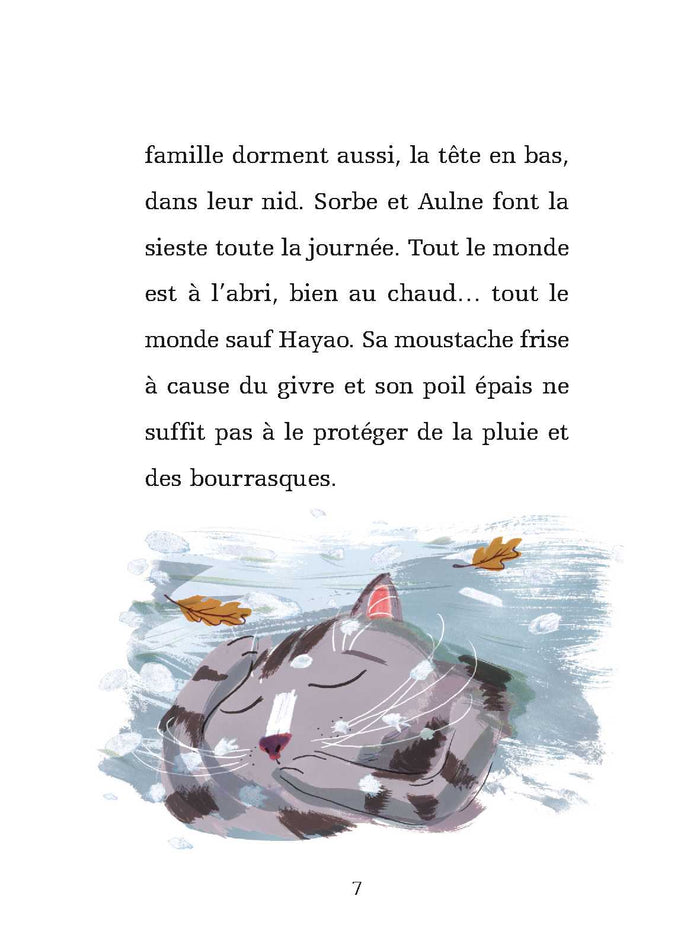 Les animaux de Mini-Bois