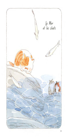 Le vieil homme et son chat