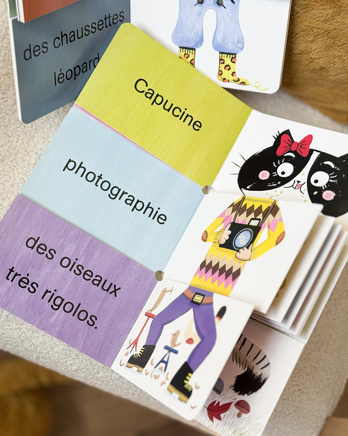 Méli-mélo de matous