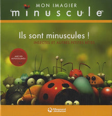 Ils sont minuscules !: Insectes et autres petites bêtes