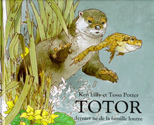 Totor, dernier-né de la famille loutre