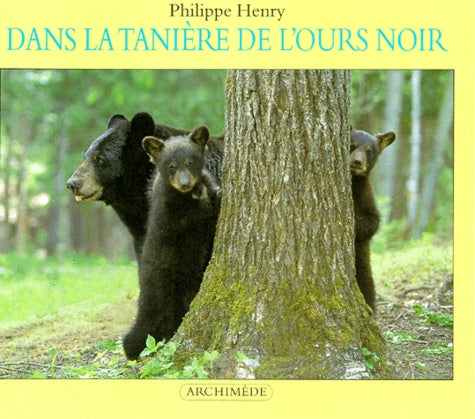Dans la tanière de l'ours noir