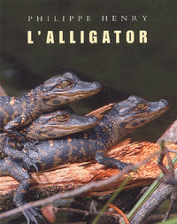 l'alligator