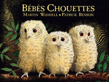 Bébés chouettes