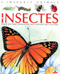Les Insectes : Pour les faire connaître aux enfants