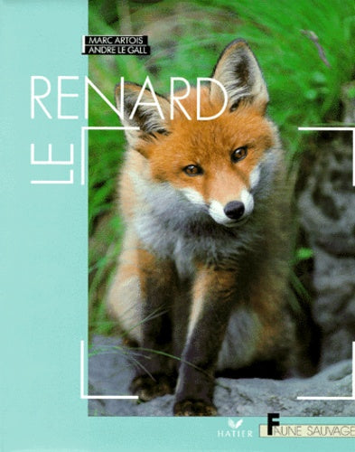 Le renard