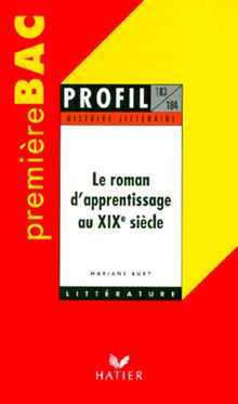 Le roman d'apprentissage au XIXe siècle