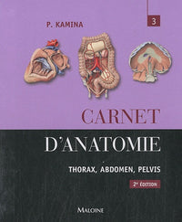Carnet d'anatomie: Tome 3, Thorax, abdomen, pelvis