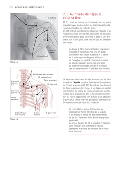 Atlas du shiatsu : Les méridiens