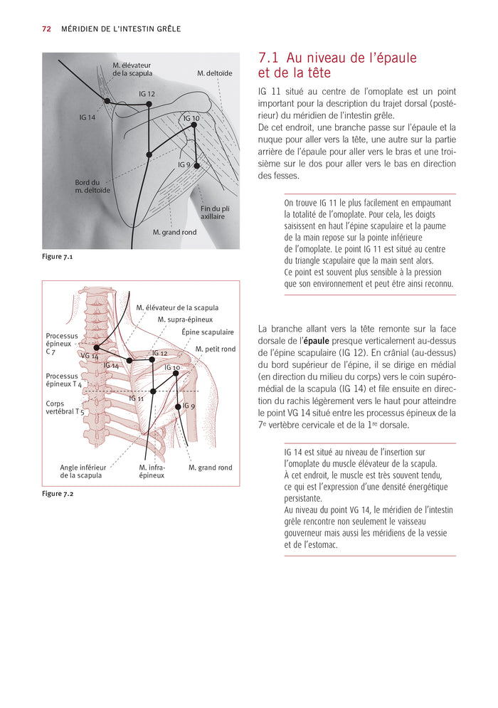 Atlas du shiatsu : Les méridiens