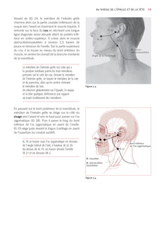 Atlas du shiatsu : Les méridiens