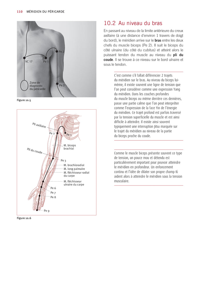 Atlas du shiatsu : Les méridiens