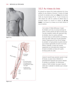Atlas du shiatsu : Les méridiens
