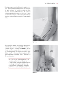 Atlas du shiatsu : Les méridiens