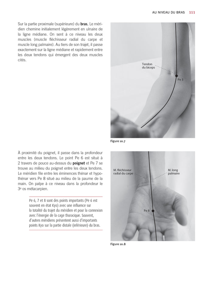 Atlas du shiatsu : Les méridiens