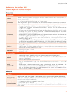 Les muscles, anatomie clinique - Tête - Tronc - Membres