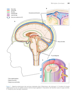 Diagnostics difficiles en médecine interne. Vol 1, 5e éd.