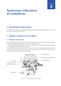 Examen clinique de l'appareil neuro-musculo-squelettique