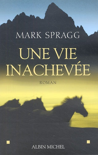 Une vie inachevée