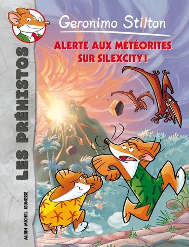 Alerte aux météorites sur Silexcity !