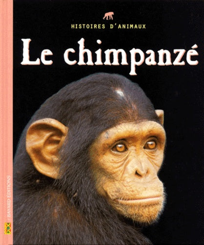 Le chimpanzé