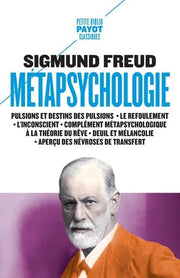 métapsychologie