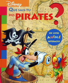 Que sais-tu des pirates ?