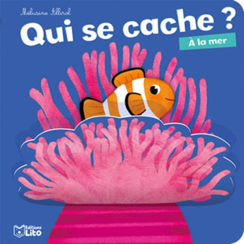 Qui se cache? : A la mer