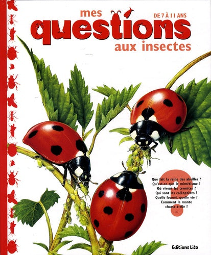 Mes Questions aux insectes : Documentaire - Dès 7 ans