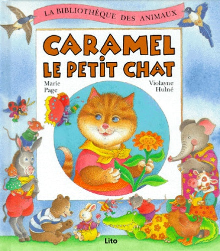 Caramel le petit chat
