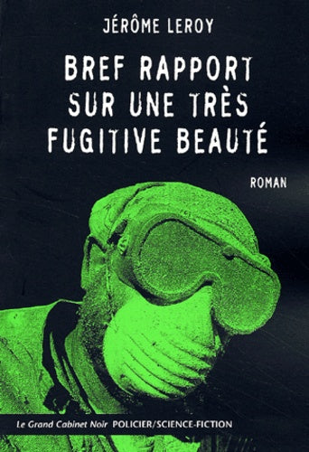 Bref rapport sur une très fugitive beauté