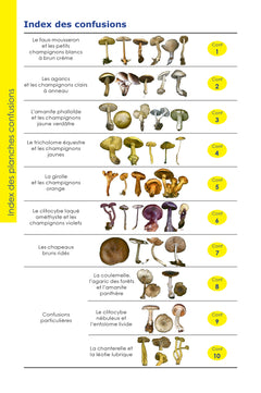 Identifier les champignons
