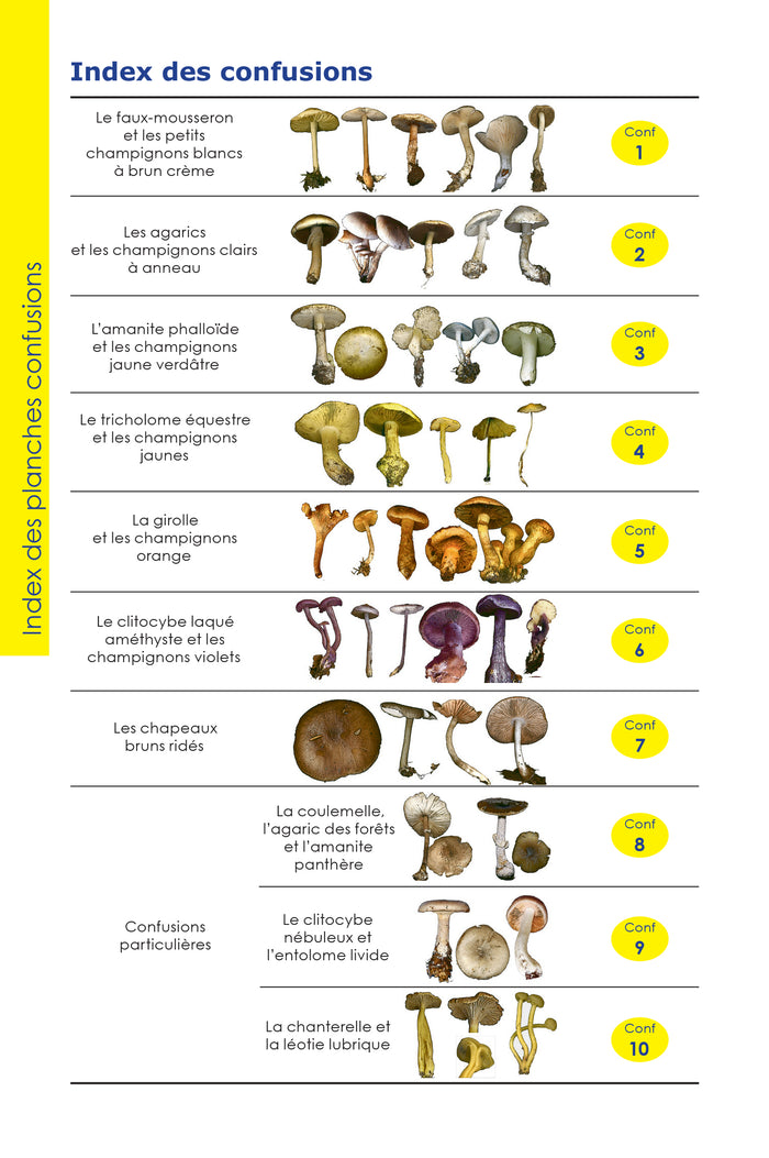 Identifier les champignons