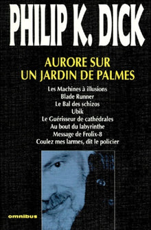 Aurore sur jardin de palmes