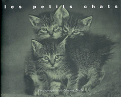 Les petits chats
