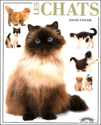 Chats - Prestige