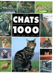Les chats en 1000 photos