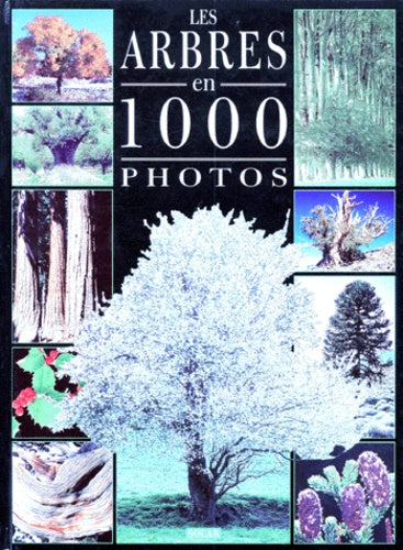 Arbres 1000 photos
