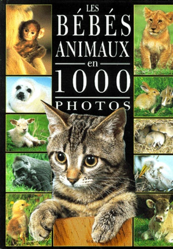 Bébé animaux 1000 photos