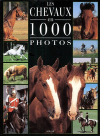 Chevaux 1000 photos