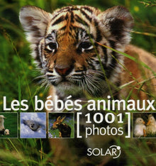 Bébés animaux en 1001 photos
