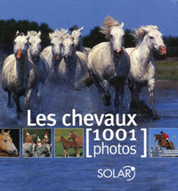 CHEVAUX EN 1001 PHOTOS