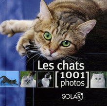 Les chats : 1001 photos