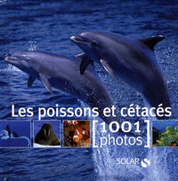 Les poissons et cétacés - 1001 photos