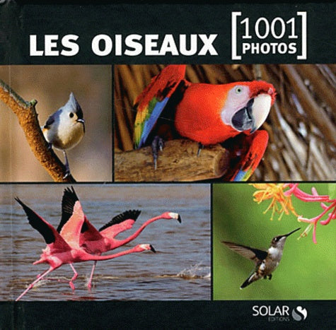 Les oiseaux en 1001 photos
